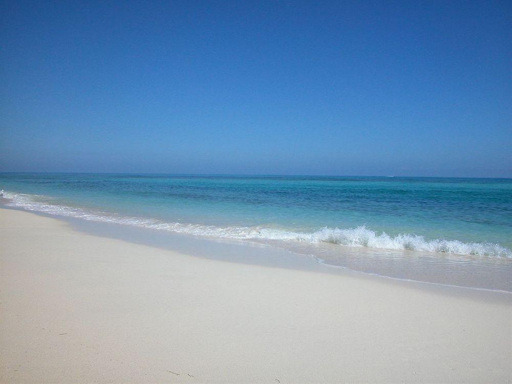 Green Turtle Club Resort & Marina Green Turtle Cay Eksteriør bilde