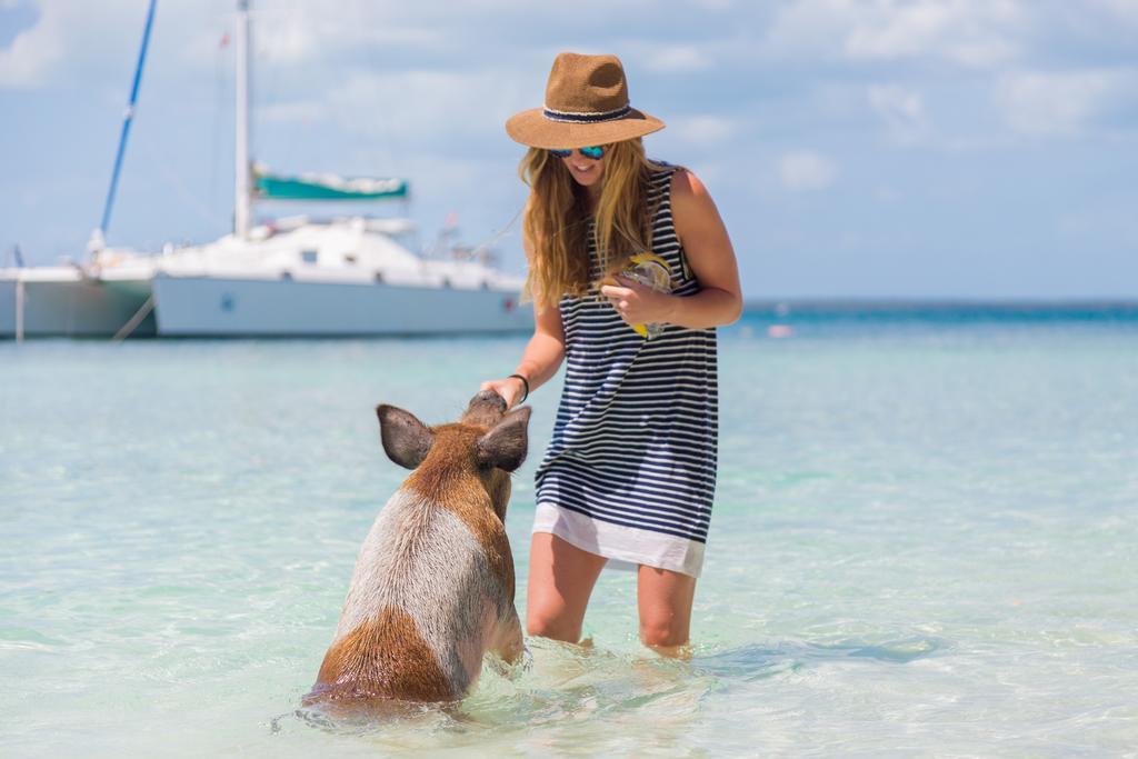 Green Turtle Club Resort & Marina Green Turtle Cay Eksteriør bilde